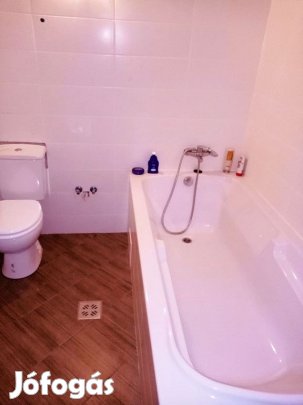 XV. Kerület, Apolló utca, 37 m2-es, társasházi lakás, 1 szobás