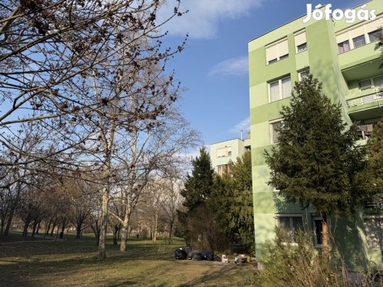 XXI. Kerület, Erdősor Lakótelep, 64 m2-es, társasházi lakás, 2+1