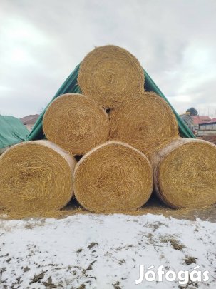 Zab szalma!     