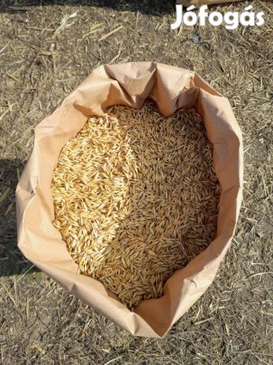 Zab vetőmag eladó