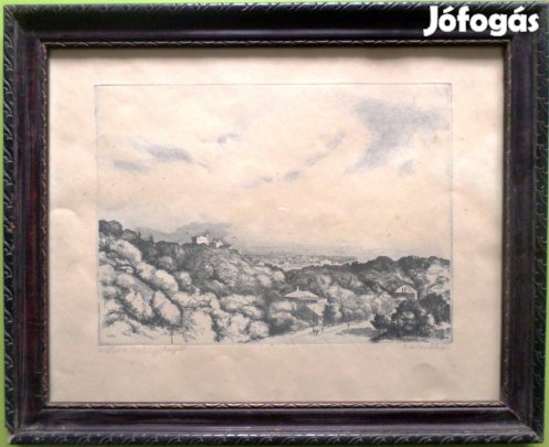 Zádor István: Kilátás a Széchenyi hegyről