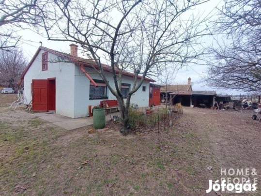 Zákányszéken 2 tanya együtt eladó!