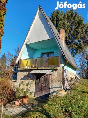 Zalaegerszeg közelében műút melletti hegyi birtok pincékkel eladó!