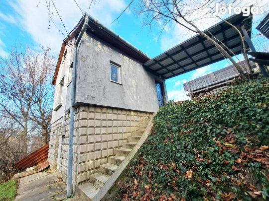 Zalaegerszegen 2 szintes, felújított hétvégi ház eladó