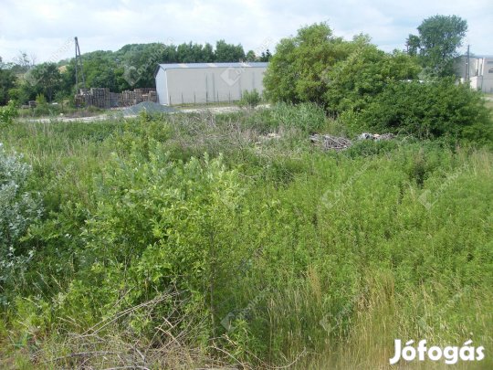 Zalaegerszegi 5074 nm-es telek eladó