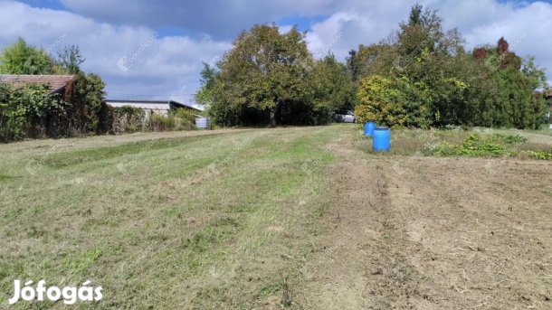 Zalaegerszegi eladó 4019 nm-es telek