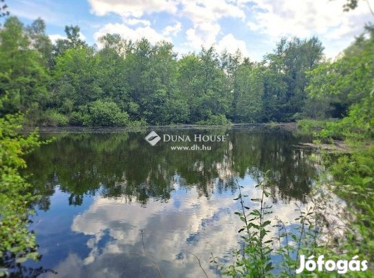 Zalaegerszegi eladó 80 nm-es ház #4883439