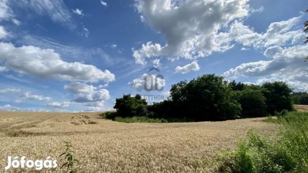 Zalakarosi eladó 12378 nm-es telek