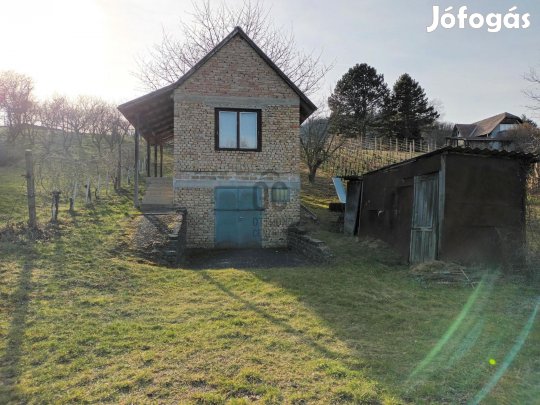Zalaszentgrót Aranyod városrészében panorámás hegyi birtok eladó