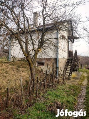 Zalaszentlászlón szőlőültetvény, gyümölcsös eladó örökpanorámás helyen