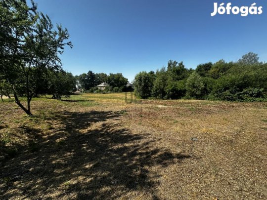 Zalaszentmihályi 4500 nm-es telek eladó