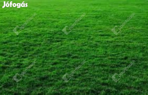 Zamárdiban eladó egy belterületi telek rész