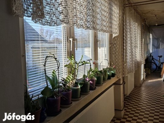 Zámolyi eladó 125 nm-es ház