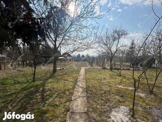 Zárkert Sashegyen eladó