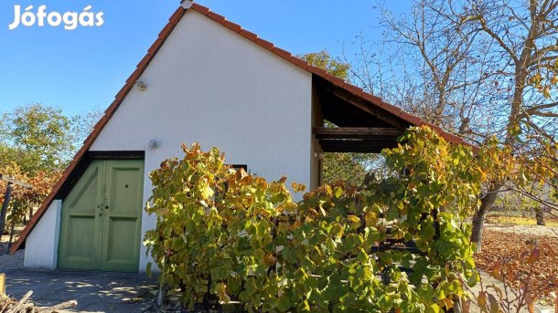 Zártkert/ hobbi/ Cegléden eladó