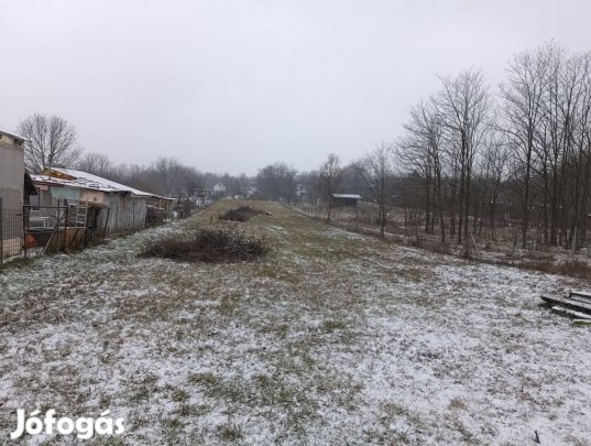 Zártkert, művelés alól kivonva,  Gödöllő