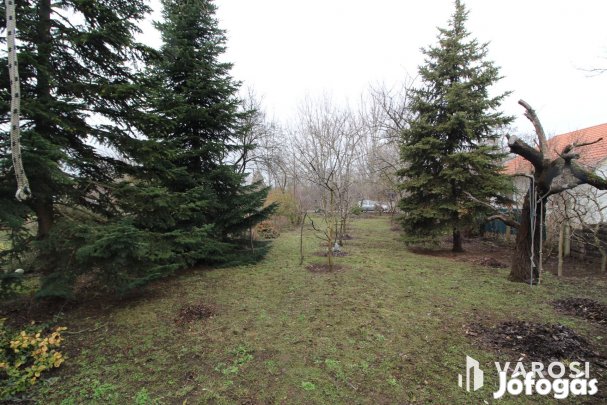 Zártkert a Kispaté út elején