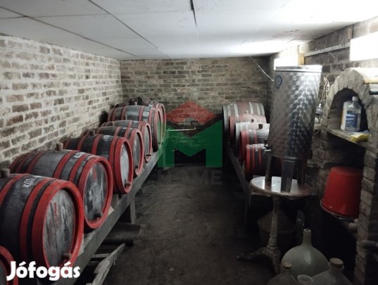 Zártkert vízzel, villannyal MArcaliban