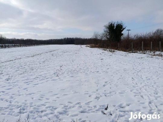 Zártkerti Telek Vanyola Szőlőhegyben