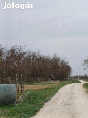 Zártkerti ingatlan Fertőszentmiklóson