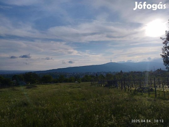 Zártkerti ingatlan Pécs-Szabolcson