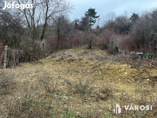 Zártkerti telek Békásmegyer felett!