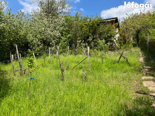 Zártkerti telek eladó TörökbálintPistályon irányár: 15 M Ft