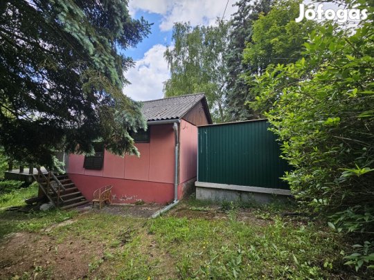 Zebegény, Szegfű utca utca, 35 m2-es, üdülő, 1+1 szobás, felújított /