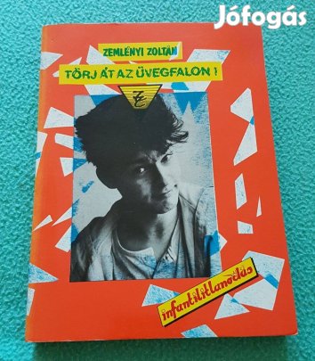 Zemlényi Zoltán: Törj át az üvegfalon! könyv