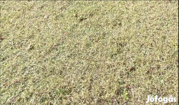 Zics településen eladó építési telek