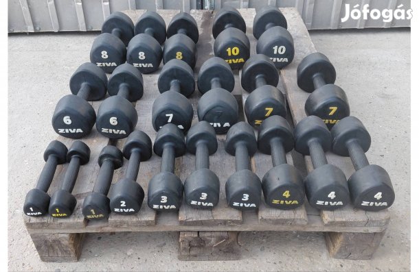 Ziva egykezes gumírozott súlyzó