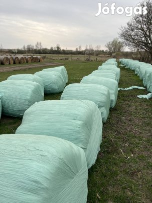 Zöld Lucerna Bála eladó, fóliás, 30db 