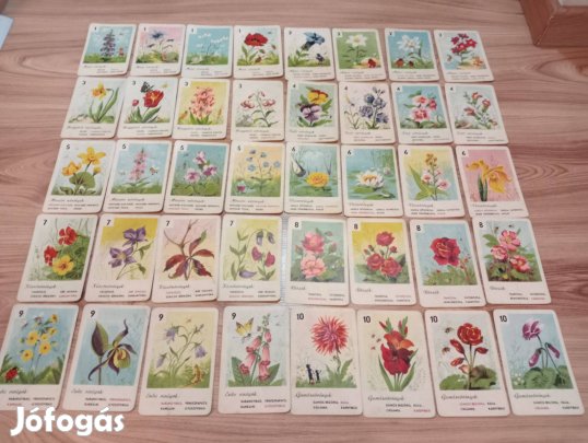 Zöld hátlapos retro virág kvartett kártyajáték, Hiánytalan