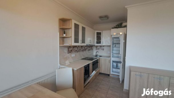 Zöldlomb utcában kiadó egy felújított 2 szobás lakás a 2. emeleten