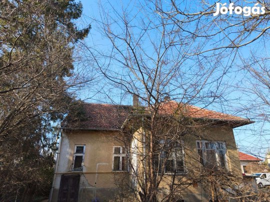 Zöldövezeti nyugalom, páratlan lokáció