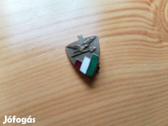 Zománcos jelvény ritka kicsi változata "Önkéntes Nemzeti Munk