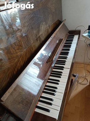 Zongora elado