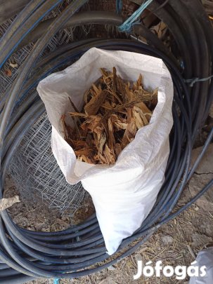 Zsákos akác kéreg fakéreg