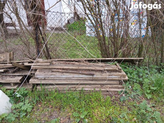 Zsaludeszka, faanyag XVI.kerületben