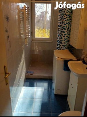 Zuglói egy szobás zöldövezeti magasföldszinti lakás eladó