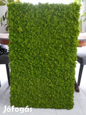 Zuzmókép fém kerettel