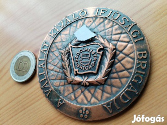 "A Vállalat Kíváló Ifjúsági Brigádja" bronz plakett