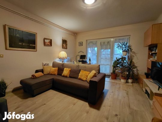 Én vagyok Abasár Rózsadombjának legszebb örök panorámája  gyere, és