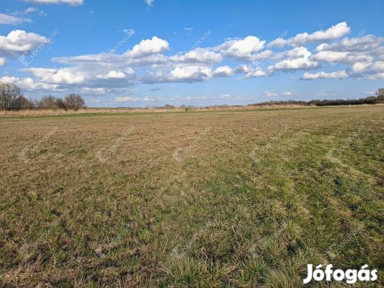 Föld, ami értéket őriz  eladó rét Ebergőc határában