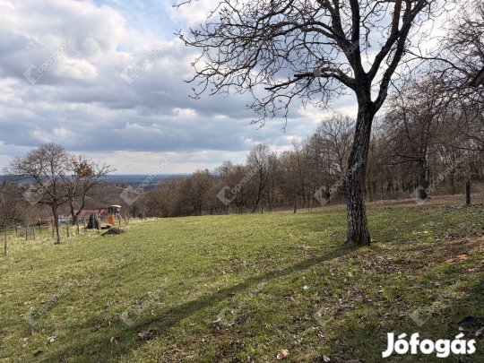Természetközeli nyugalom, határok nélküli lehetőségekkel.