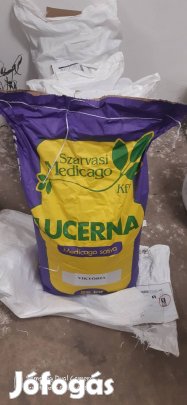 Viktória lucerna mag