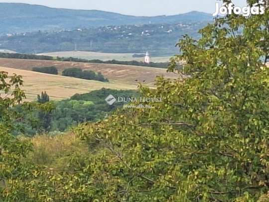 === Romonyai zrtkert===