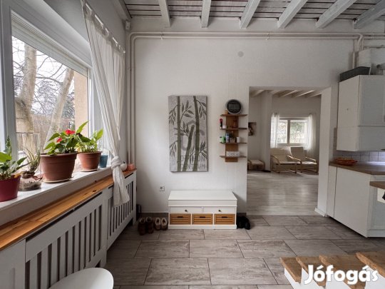 -----Alsógöd elit részén OKOS családi ház, szinte 0 rezsivel-------