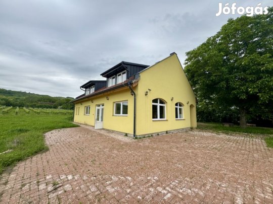 jszer csaldi hz / nyaral / panzi Siklson!