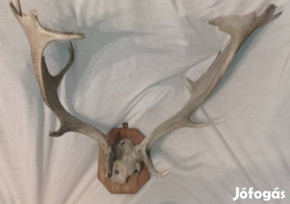 aggancs, falra akasztós rész kialakitva